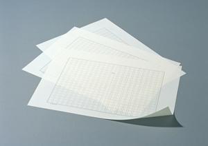 トラックコンテナ内の養生にも最適